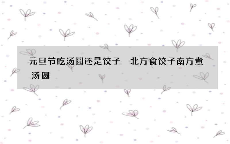 元旦节吃汤圆还是饺子 北方食饺子南方煮汤圆